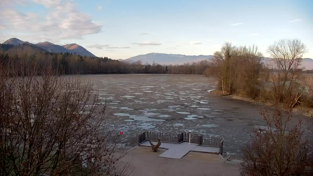 Webcam Ribnik Vrbje – Žalec