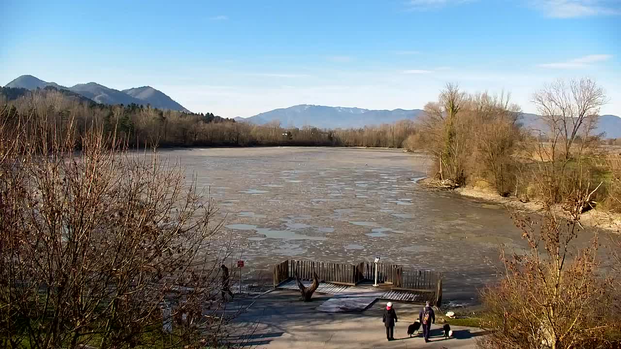 Webcam Ribnik Vrbje – Žalec