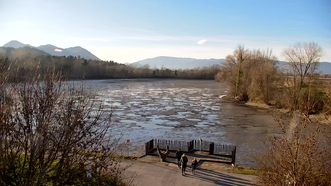 Webcam Ribnik Vrbje – Žalec