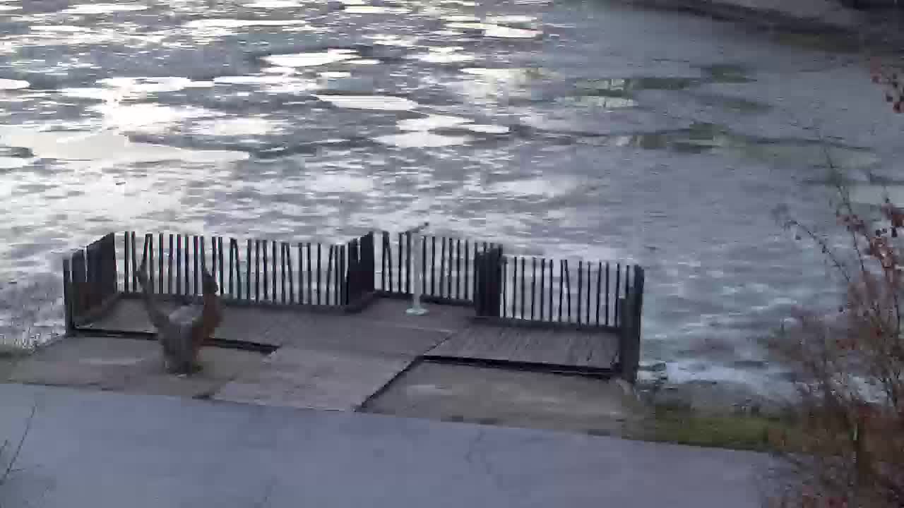 Webcam Ribnik Vrbje – Žalec