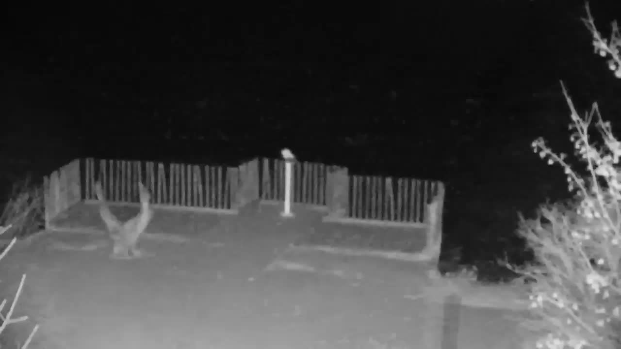 Webcam Ribnik Vrbje – Žalec