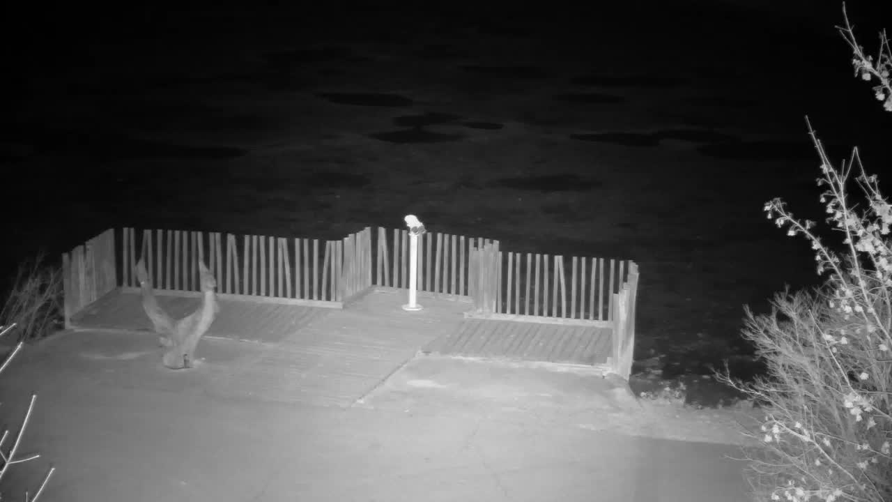 Webcam Ribnik Vrbje – Žalec