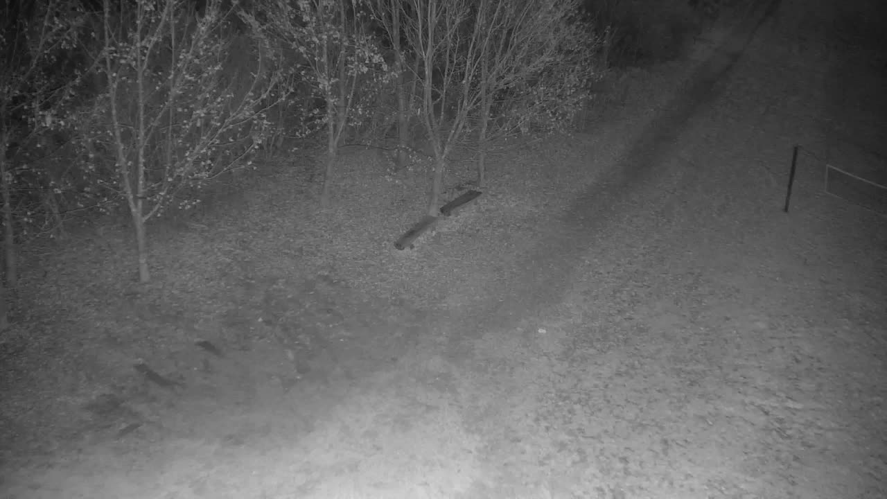 Webcam Ribnik Vrbje – Žalec