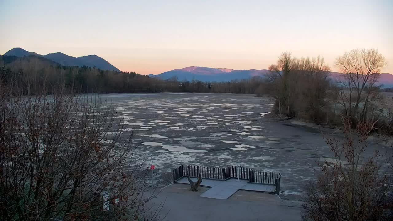 Webcam Ribnik Vrbje – Žalec