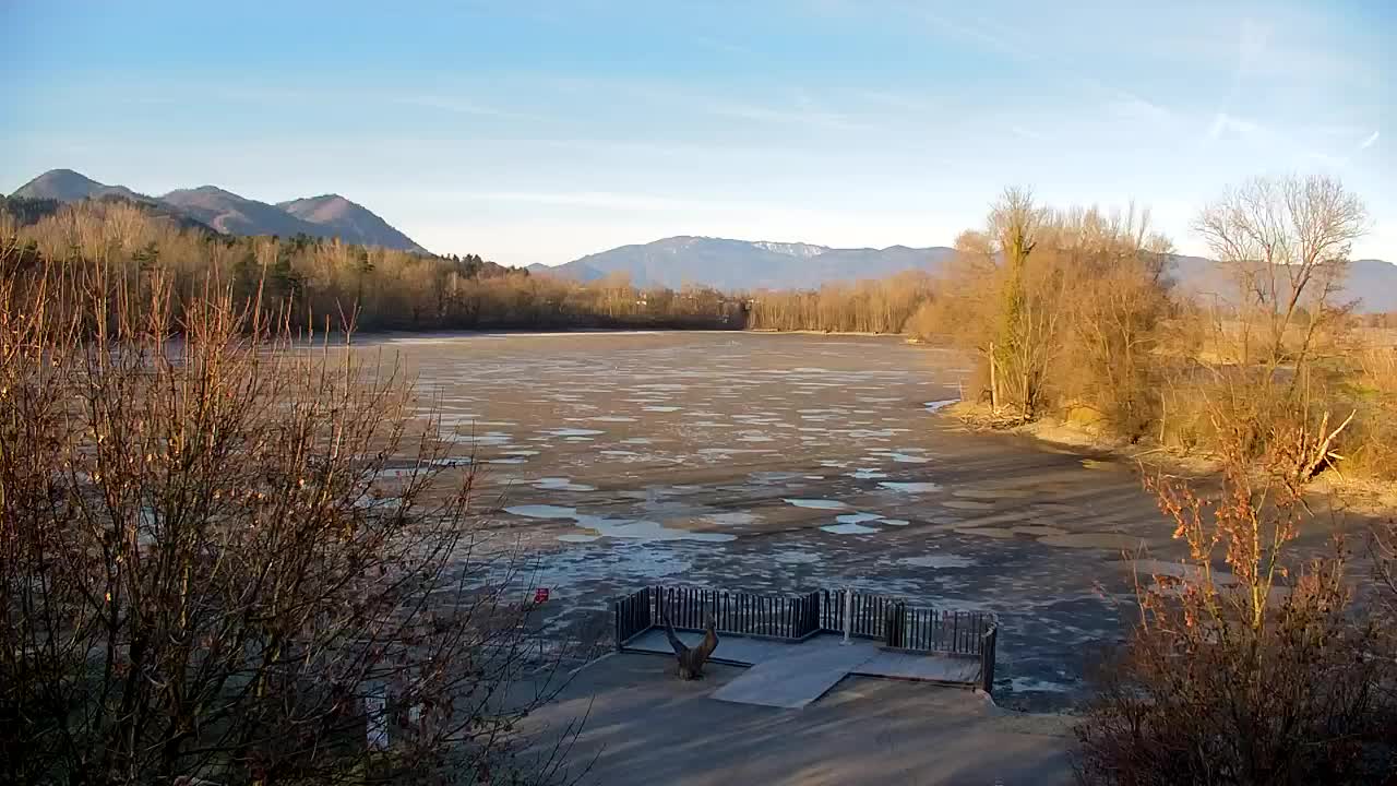 Webcam Ribnik Vrbje – Žalec