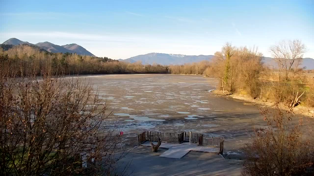Webcam Ribnik Vrbje – Žalec