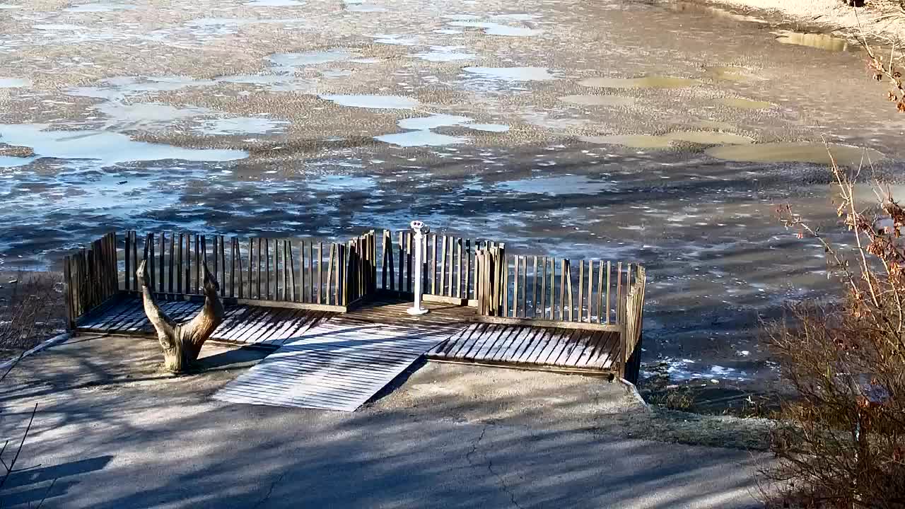 Webcam Ribnik Vrbje – Žalec