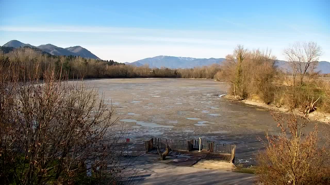 Webcam Ribnik Vrbje – Žalec