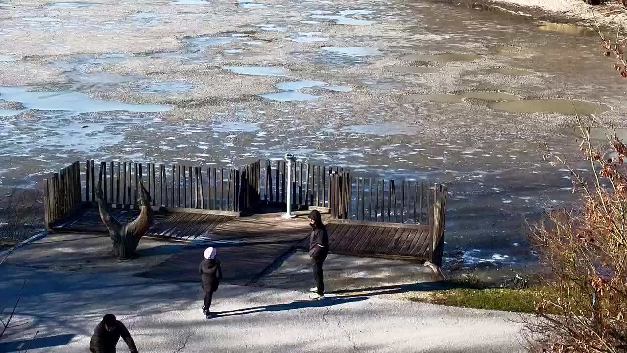 Webcam Ribnik Vrbje – Žalec