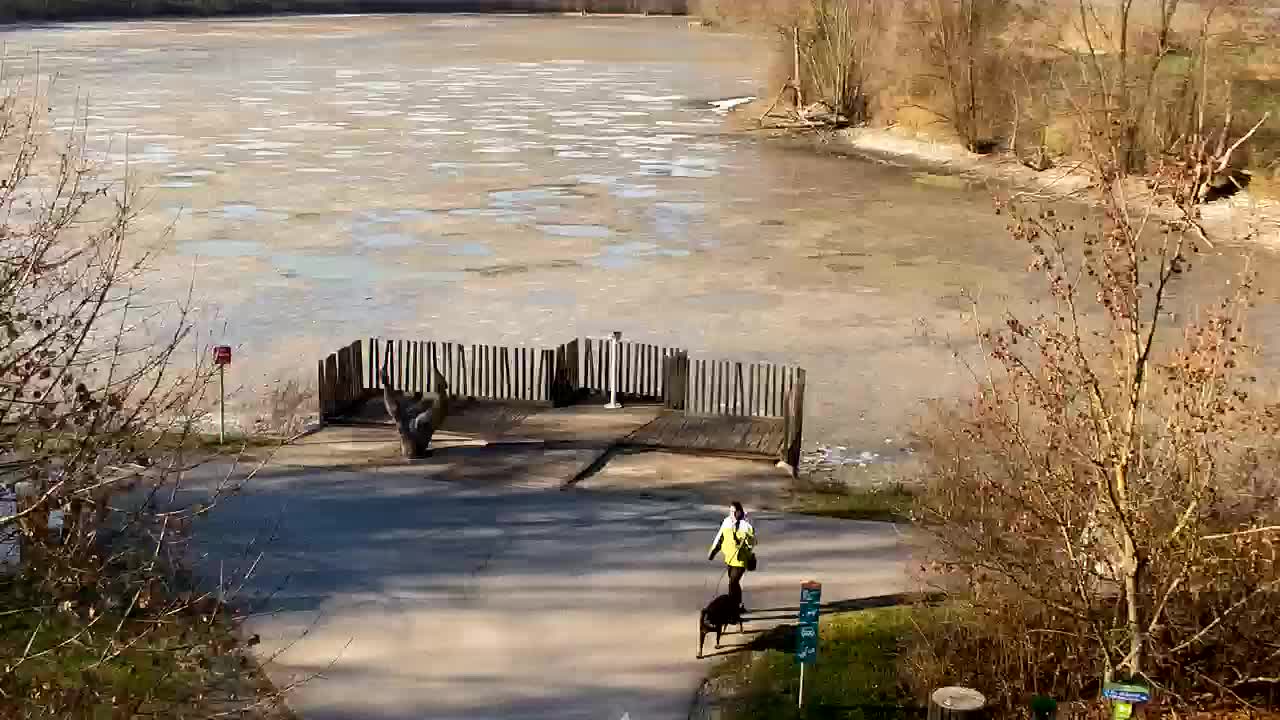 Webcam Ribnik Vrbje – Žalec