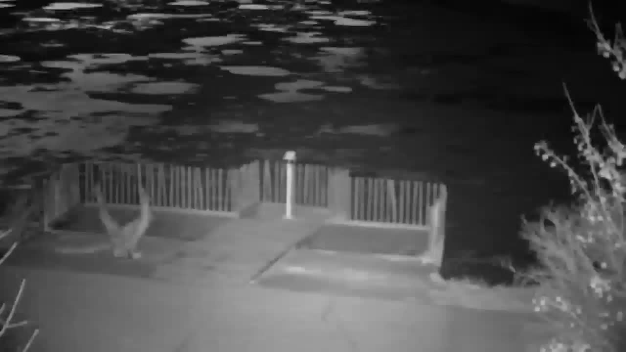 Webcam Ribnik Vrbje – Žalec