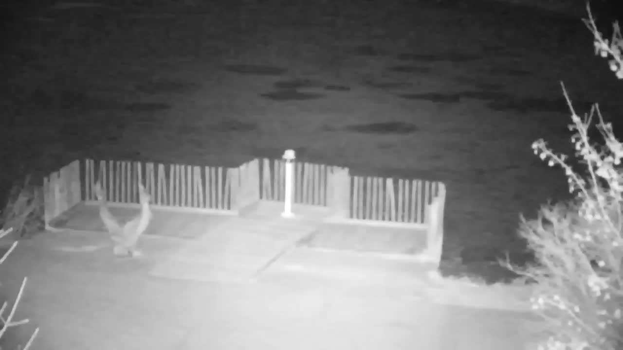 Webcam Ribnik Vrbje – Žalec