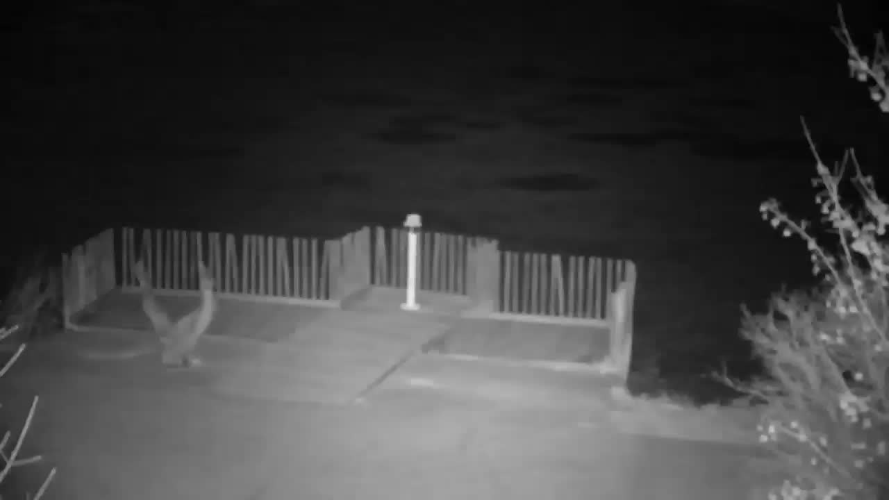 Spletna kamera Ribnik Vrbje – Žalec