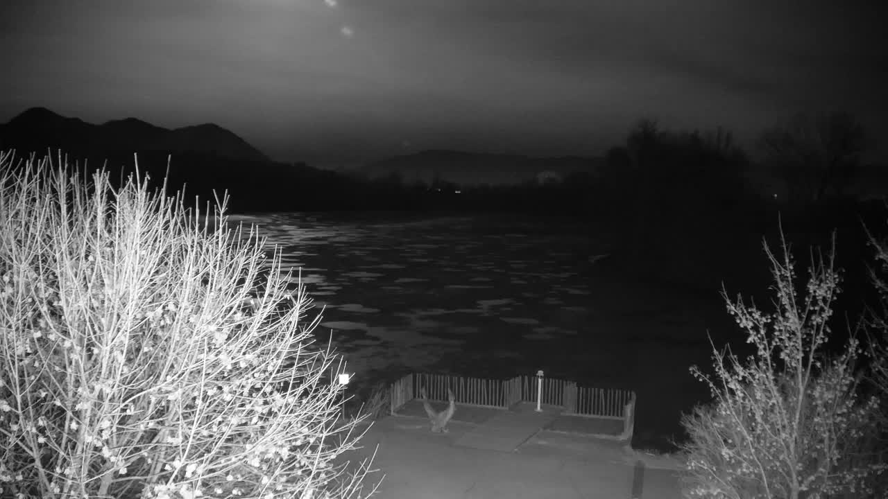 Webcam Ribnik Vrbje – Žalec