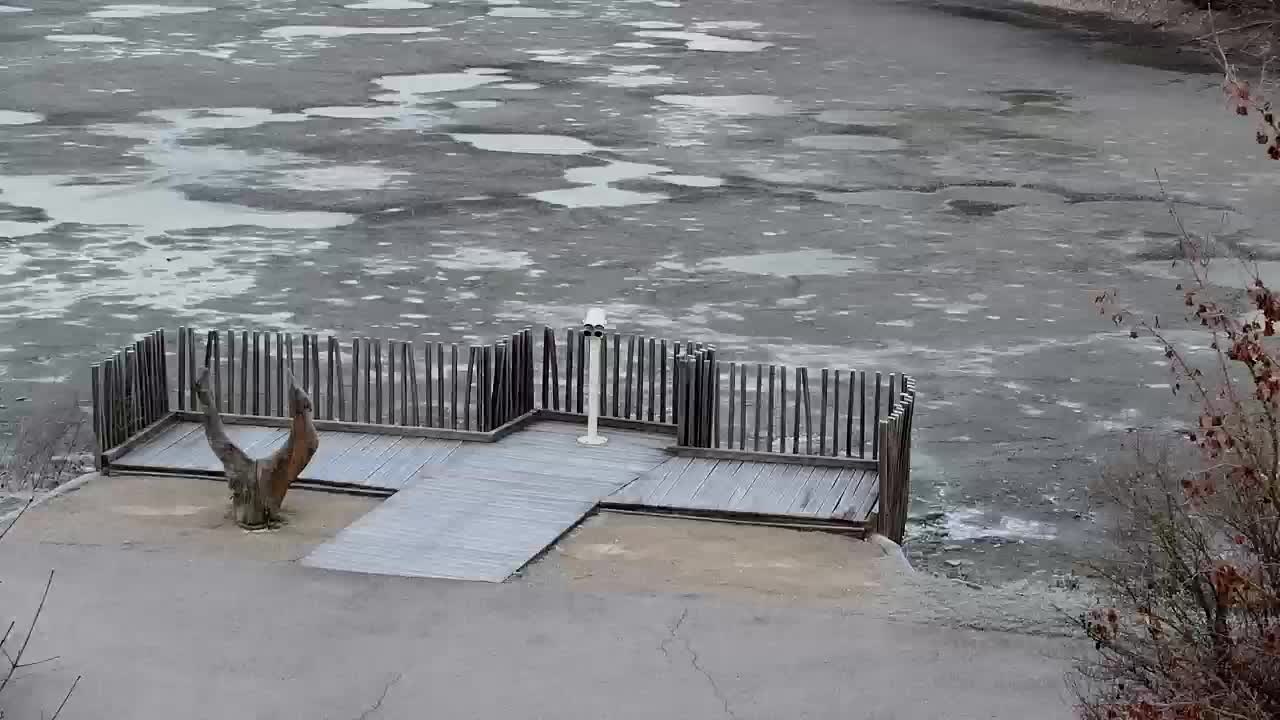 Web kamera Ribnik Vrbje – Žalec