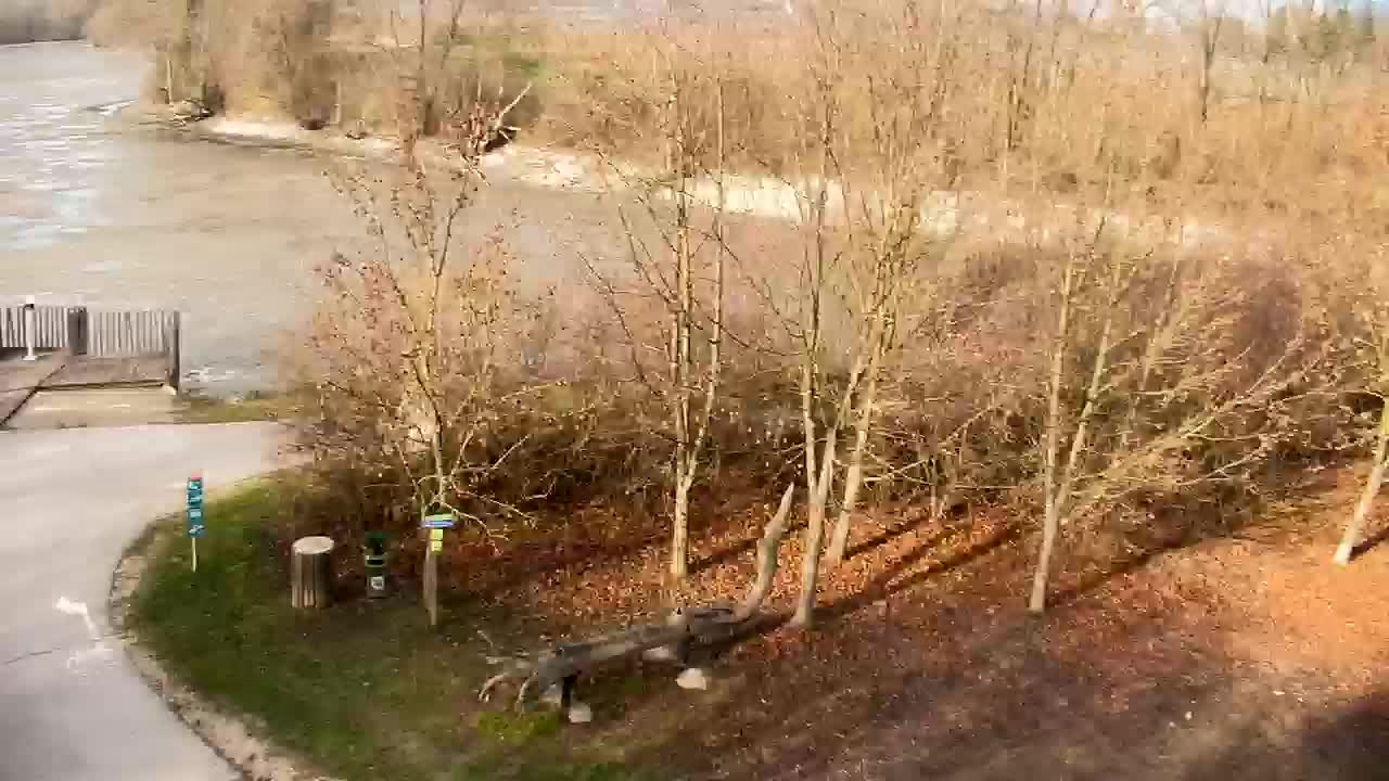 Webcam Ribnik Vrbje – Žalec