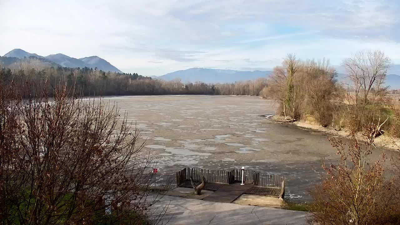 Webcam Ribnik Vrbje – Žalec