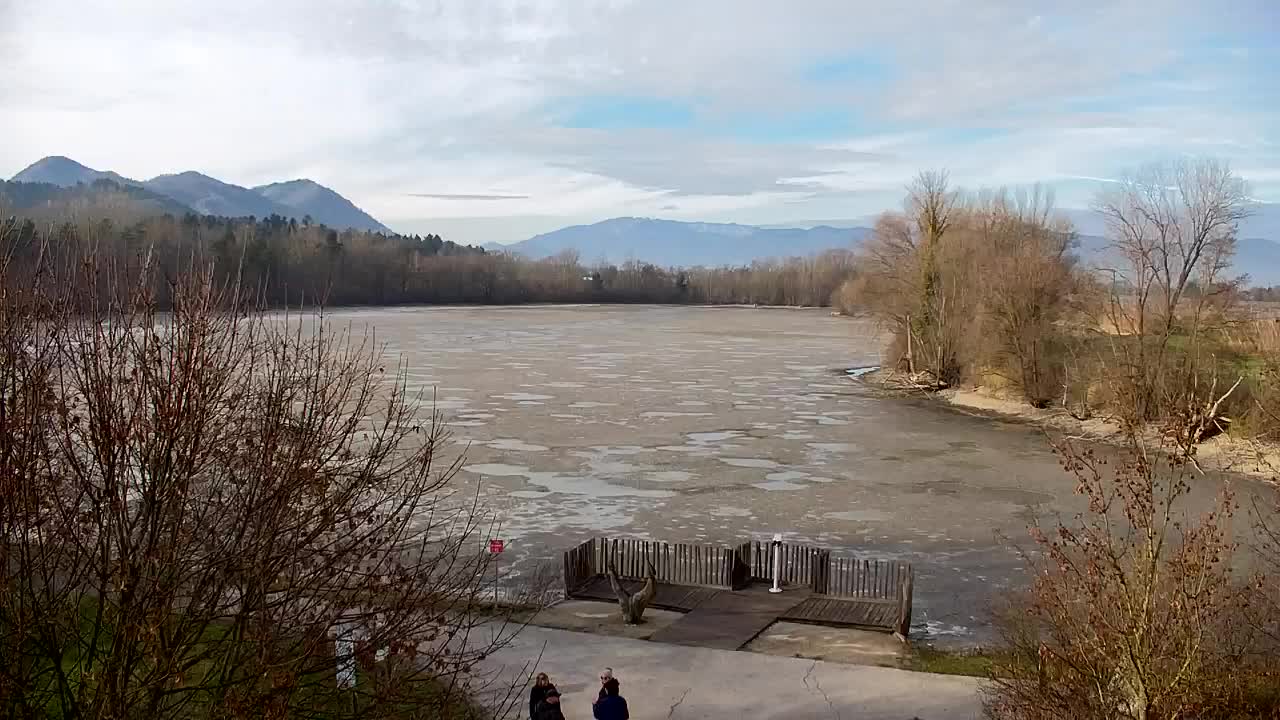 Webcam Ribnik Vrbje – Žalec