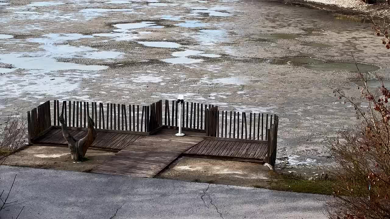 Webcam Ribnik Vrbje – Žalec