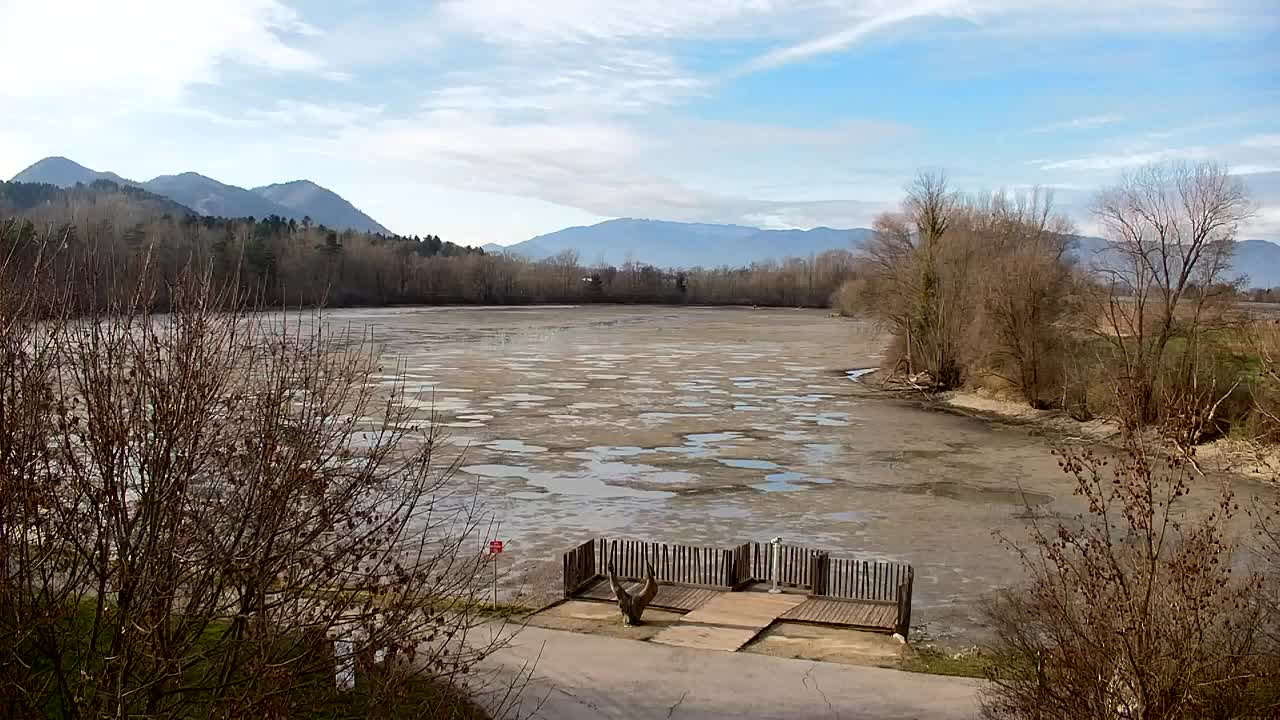 Spletna kamera Ribnik Vrbje – Žalec