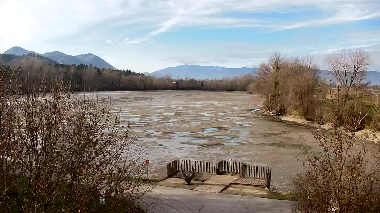 Webcam Ribnik Vrbje – Žalec