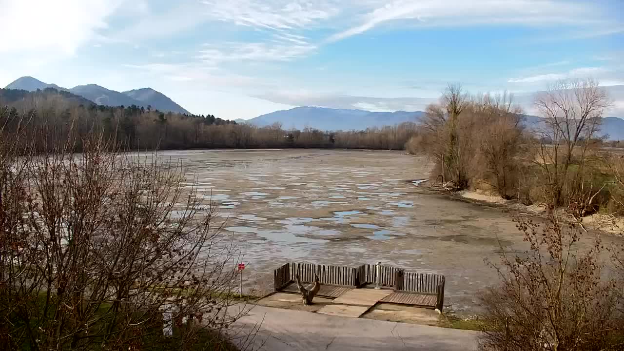 Webcam Ribnik Vrbje – Žalec