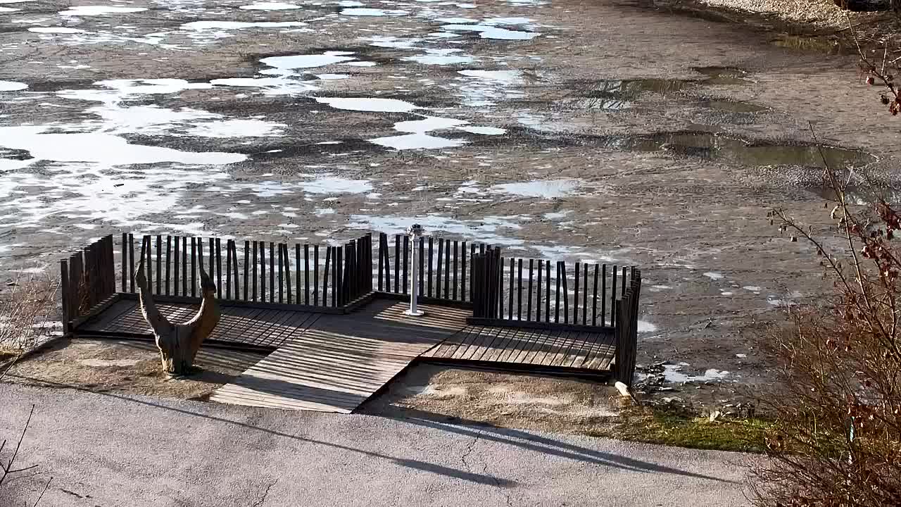 Webcam Ribnik Vrbje – Žalec