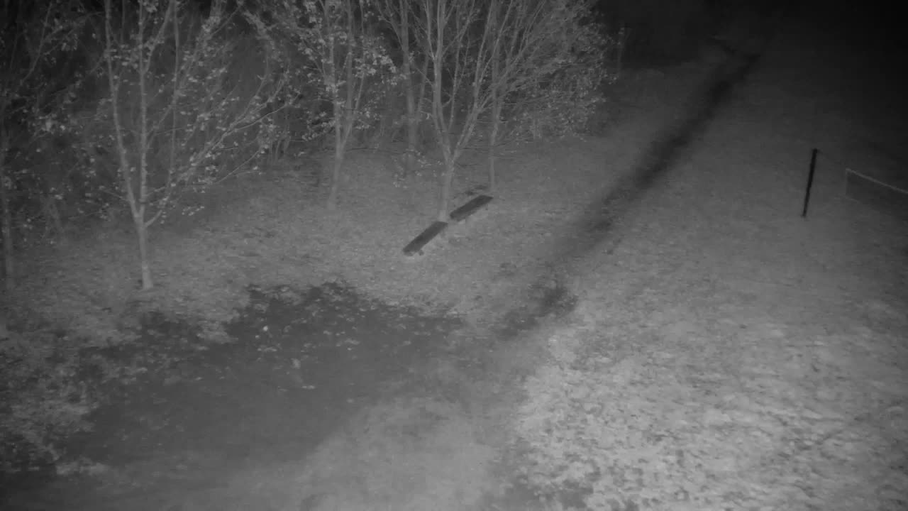 Webcam Ribnik Vrbje – Žalec