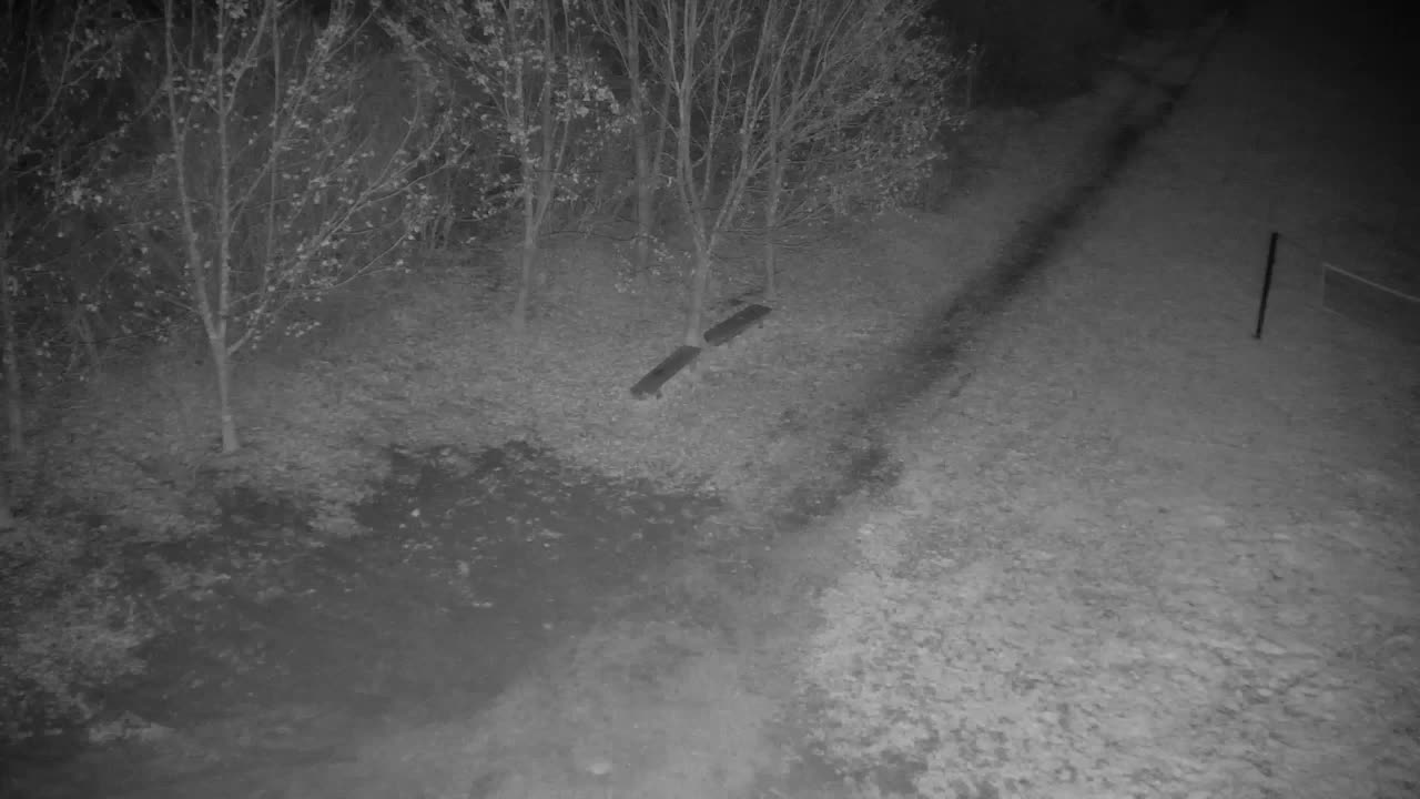 Spletna kamera Ribnik Vrbje – Žalec