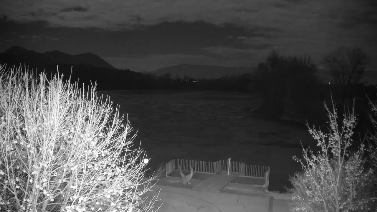 Webcam Ribnik Vrbje – Žalec