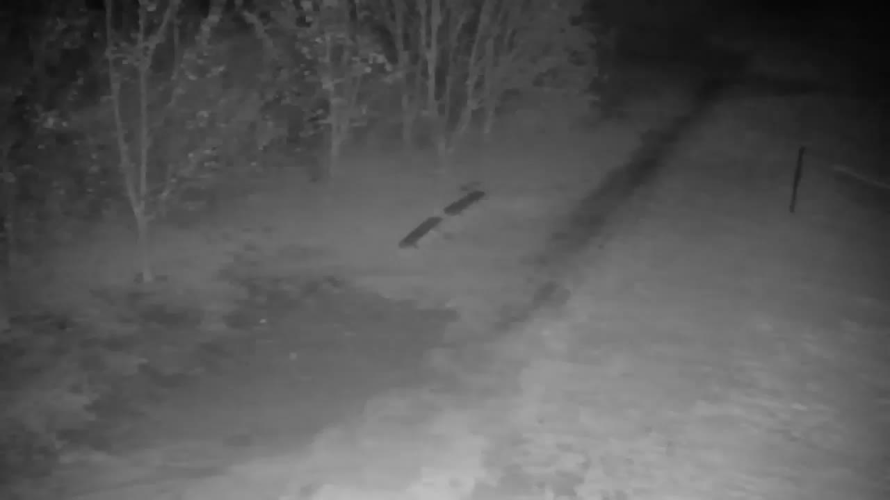 Webcam Ribnik Vrbje – Žalec