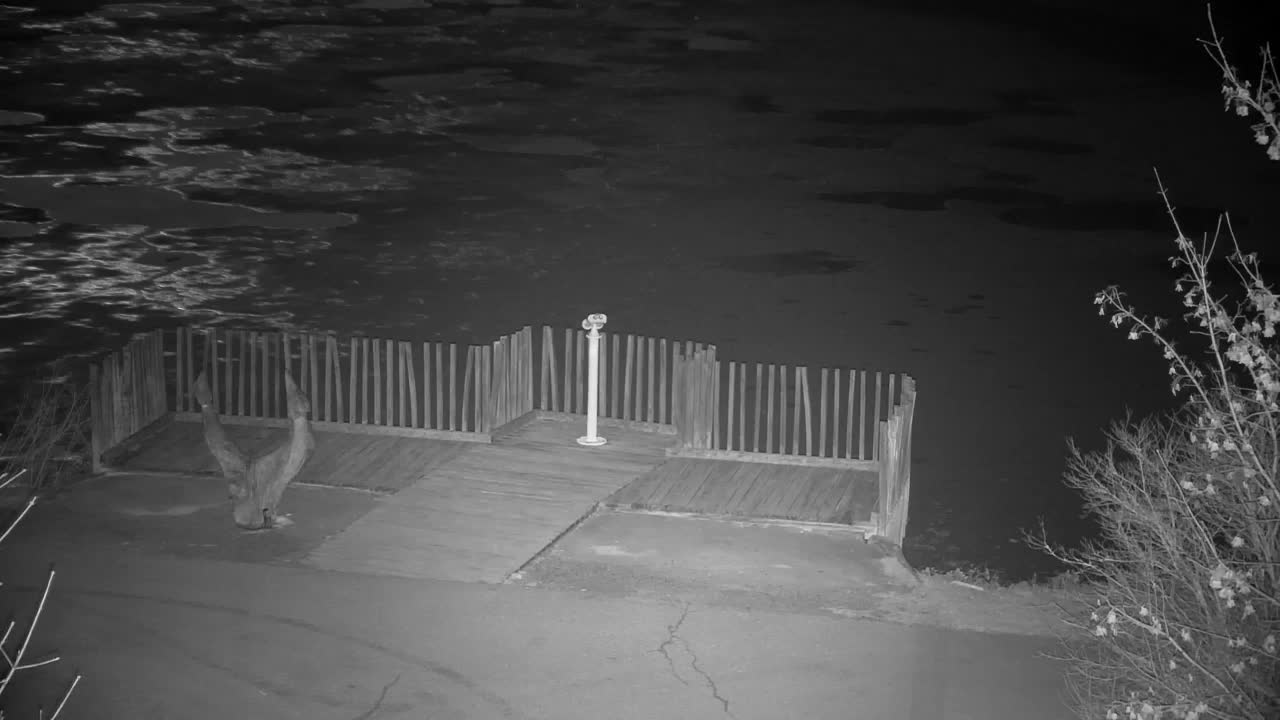 Webcam Ribnik Vrbje – Žalec