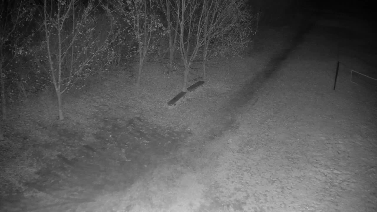 Webcam Ribnik Vrbje – Žalec