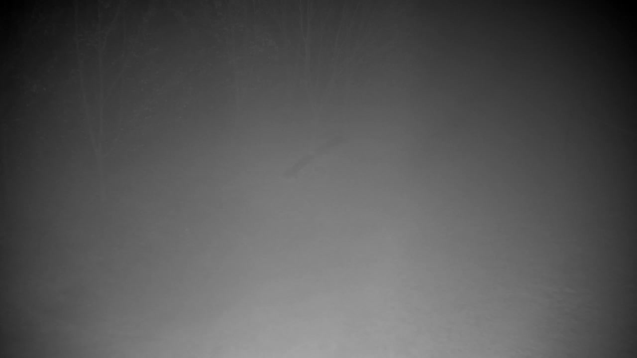 Webcam Ribnik Vrbje – Žalec