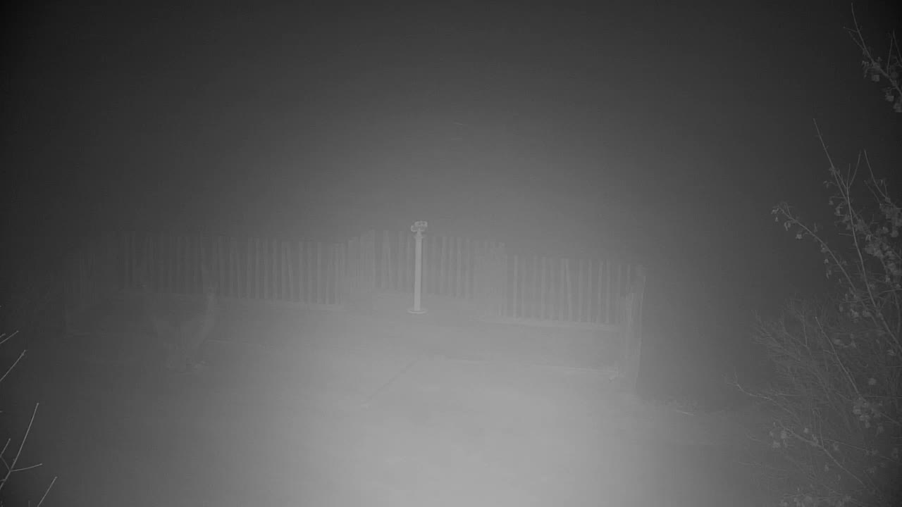 Spletna kamera Ribnik Vrbje – Žalec