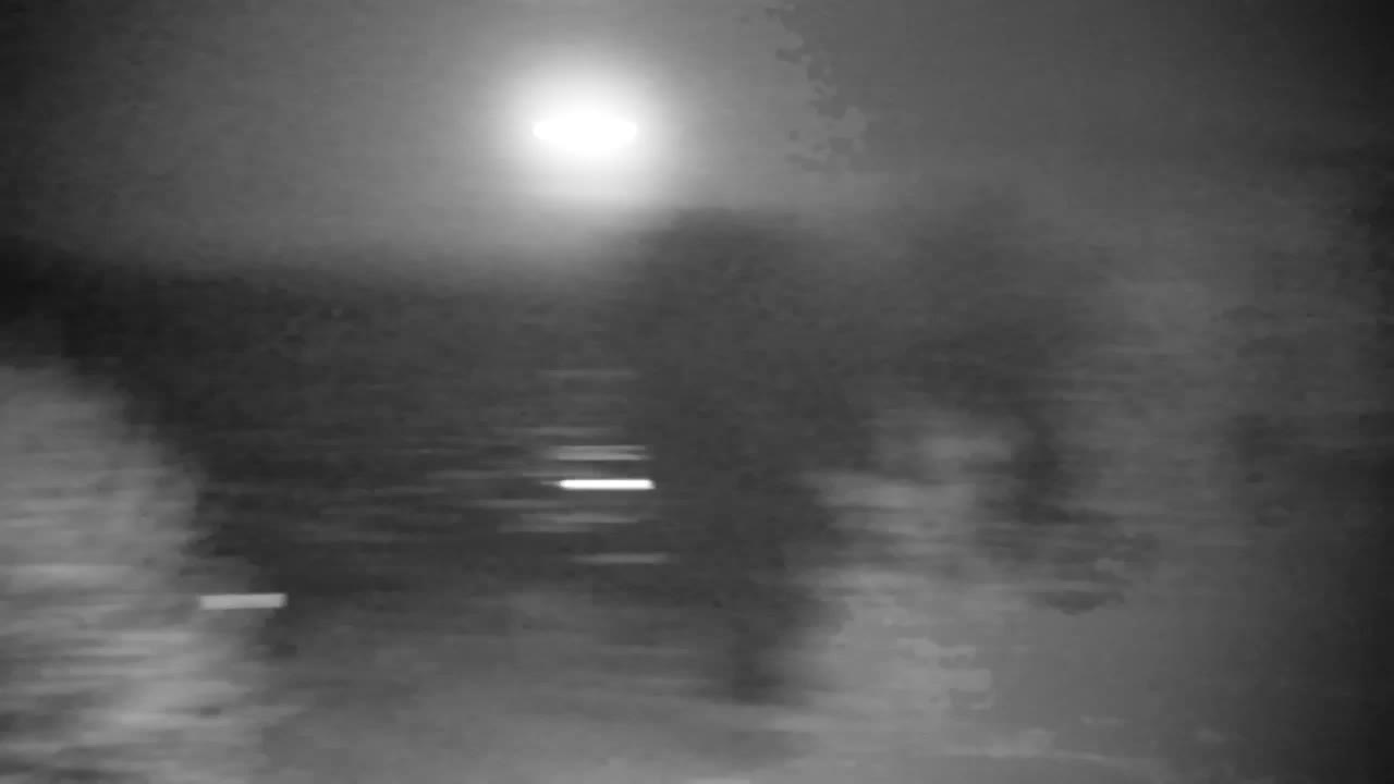 Webcam Ribnik Vrbje – Žalec