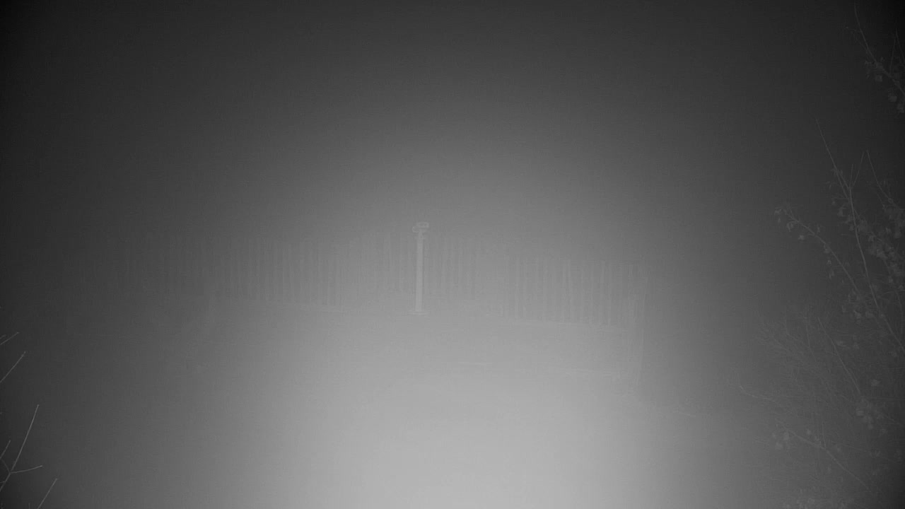 Spletna kamera Ribnik Vrbje – Žalec