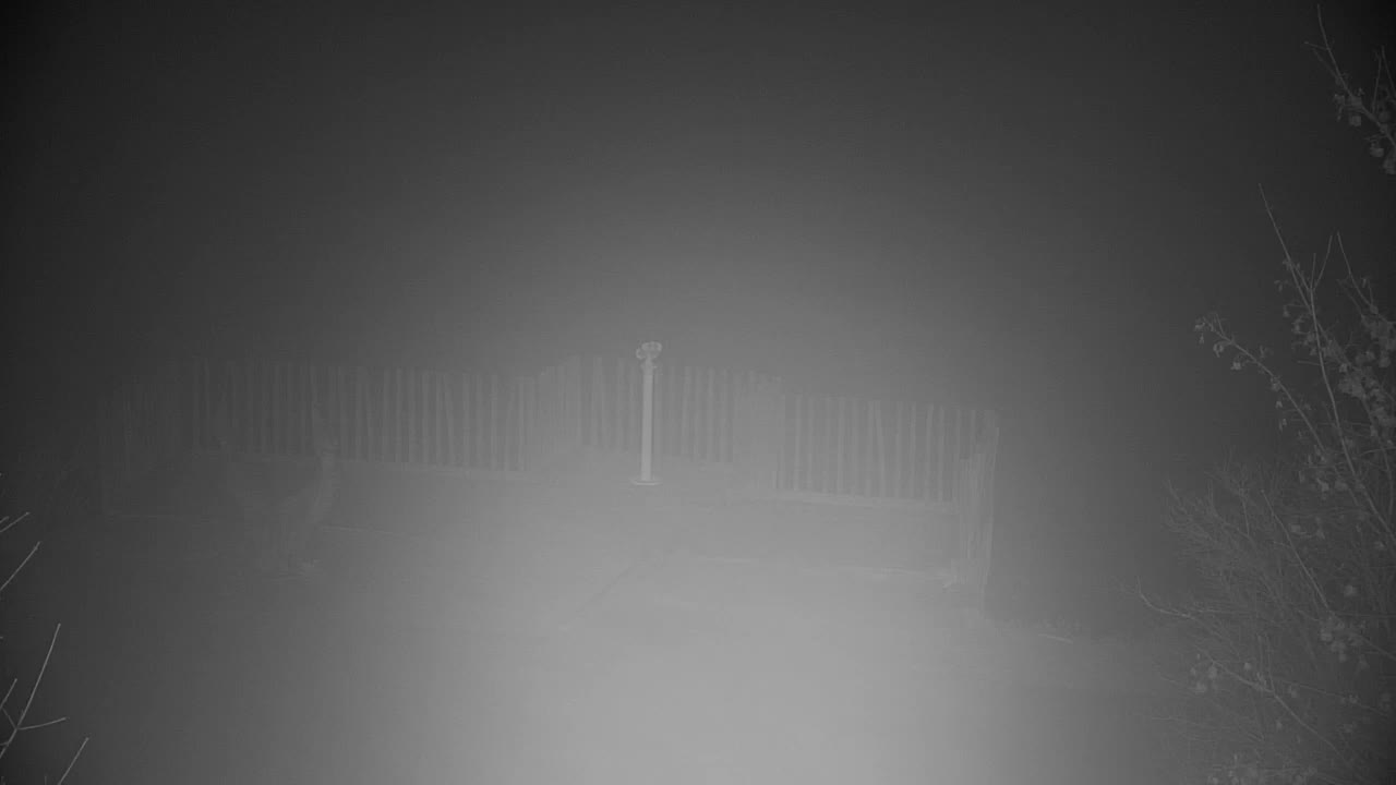 Webcam Ribnik Vrbje – Žalec