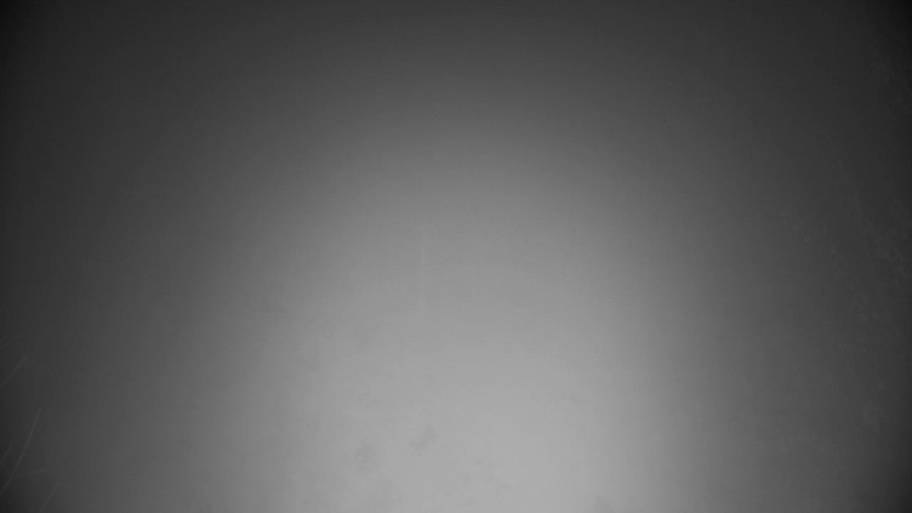 Webcam Ribnik Vrbje – Žalec