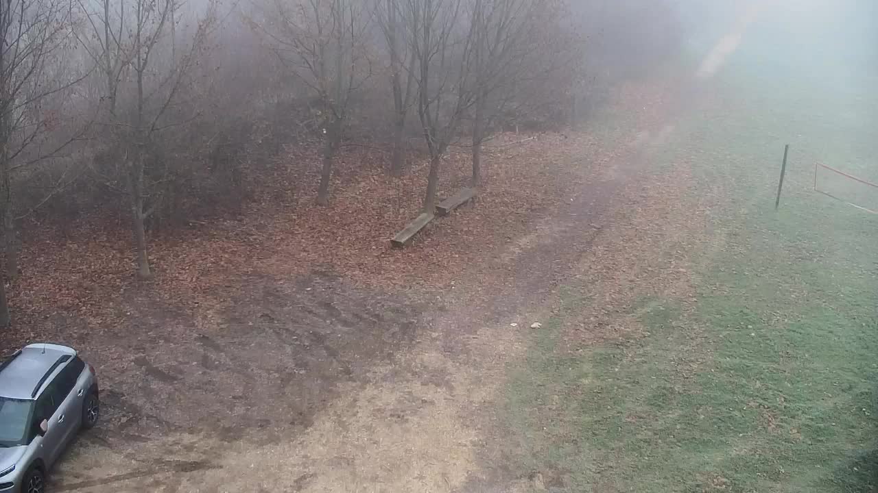 Webcam Ribnik Vrbje – Žalec