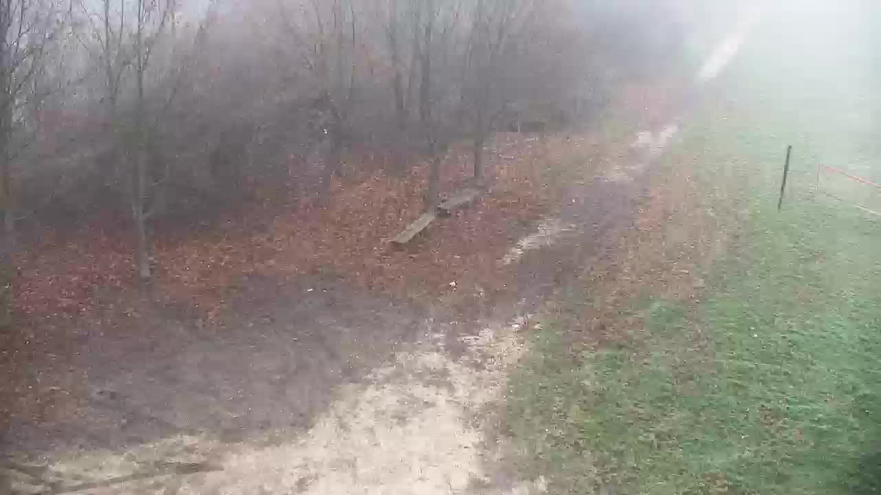 Webcam Ribnik Vrbje – Žalec