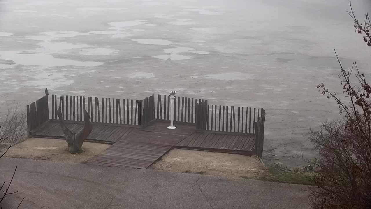 Webcam Ribnik Vrbje – Žalec