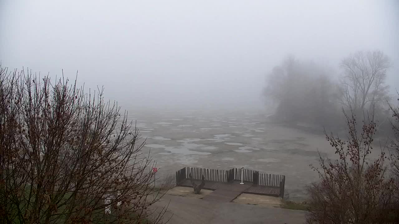 Webcam Ribnik Vrbje – Žalec