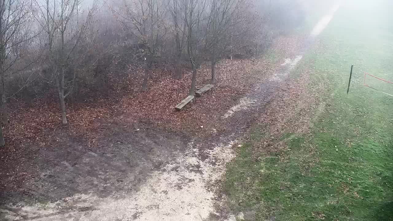Webcam Ribnik Vrbje – Žalec
