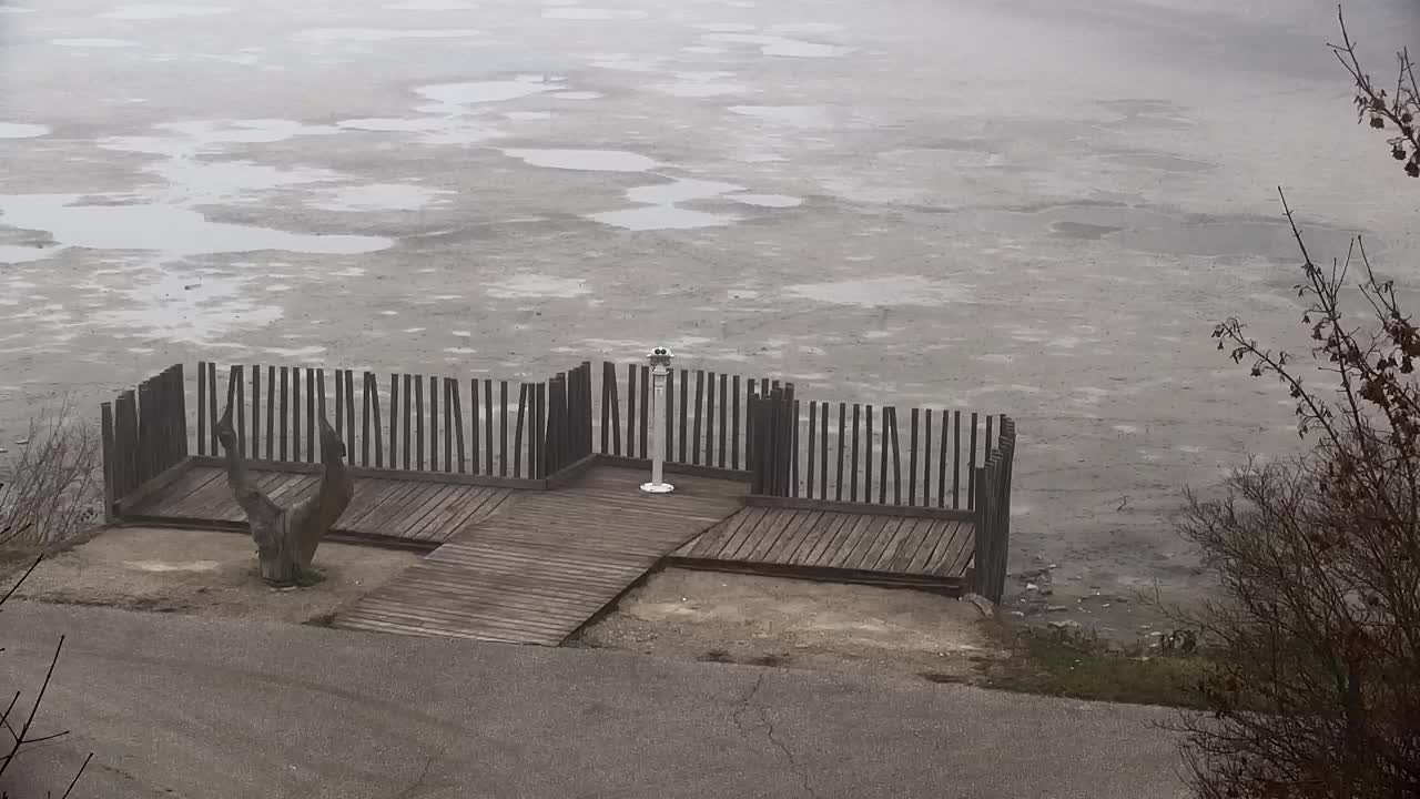 Webcam Ribnik Vrbje – Žalec