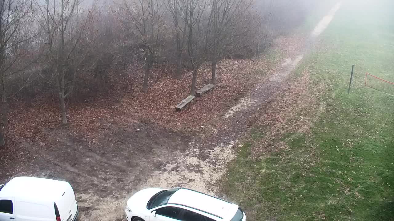 Web kamera Ribnik Vrbje – Žalec