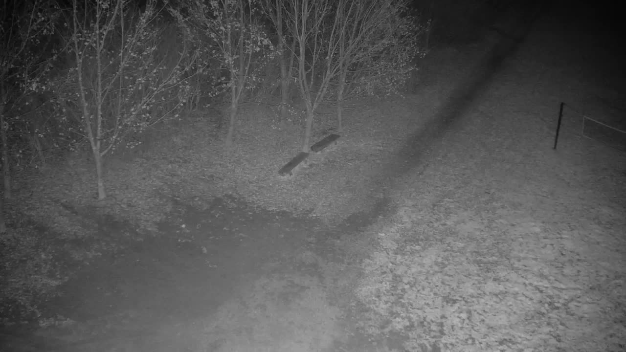 Web kamera Ribnik Vrbje – Žalec