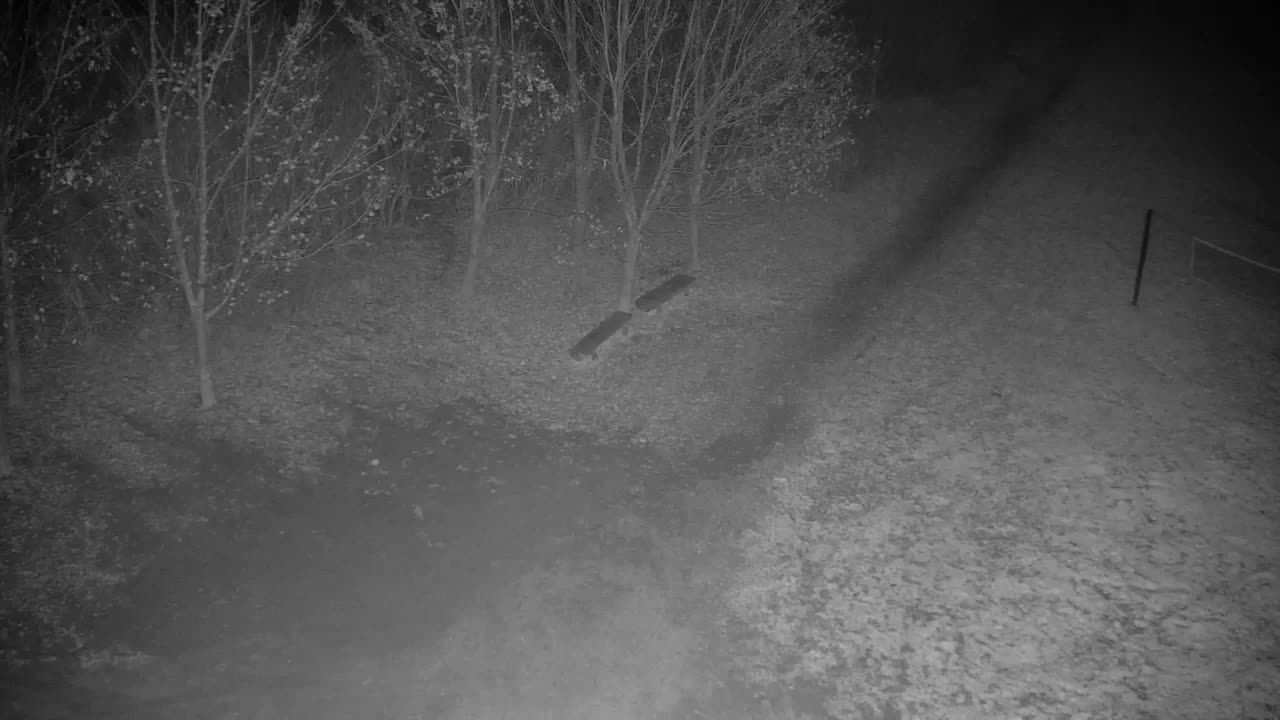 Webcam Ribnik Vrbje – Žalec