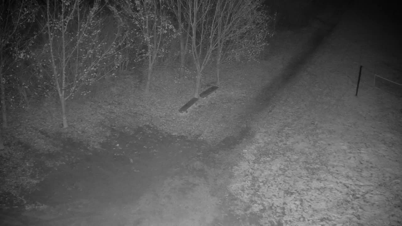 Webcam Ribnik Vrbje – Žalec