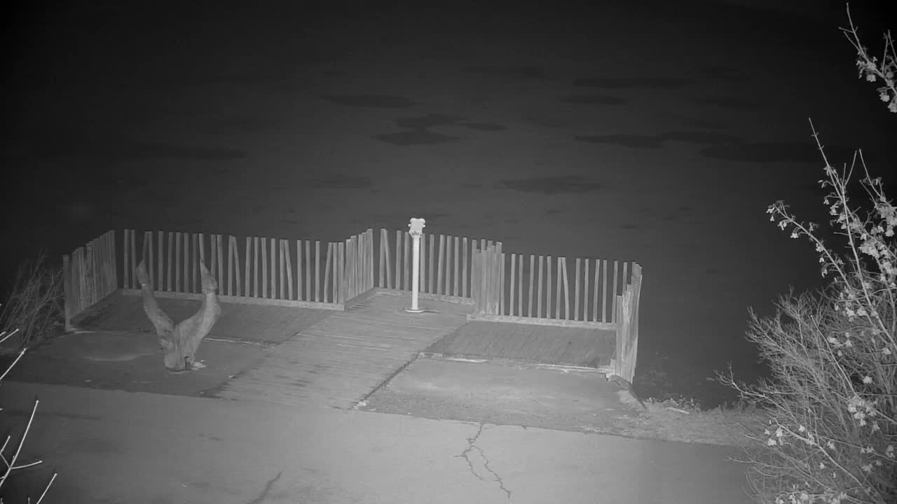 Webcam Ribnik Vrbje – Žalec